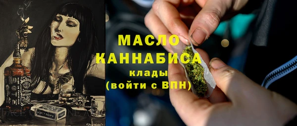 mix Богородицк